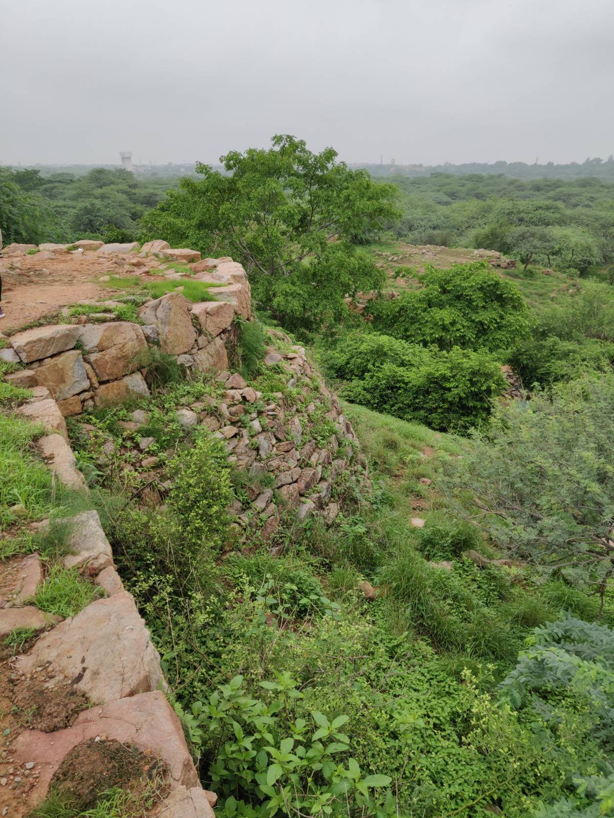 The First Red Fort: Lal Kot and the Dawn of Medieval Delhi.